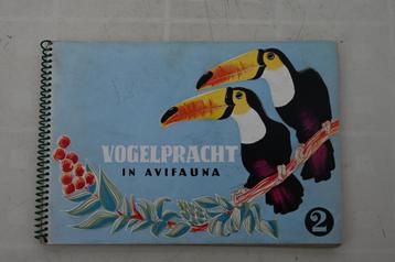 Vogelpracht in Avifauna plaatjes album Taminiau's deel 2 + 3 beschikbaar voor biedingen