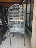 Papagaaienkooi, Ophalen, Zo goed als nieuw, Metaal, Vogelkooi