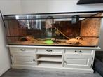 Terrarium | Compleet | Baardagaam, Dieren en Toebehoren, Reptielen en Amfibieën | Toebehoren, Ophalen, Zo goed als nieuw, Terrarium of Paludarium