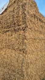 Grote Stro Balen te Koop, Zakelijke goederen, Agrarisch | Veevoer, Ophalen