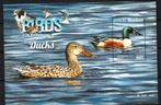 MALDIVES 2015 PF BLOK EENDEN DUCKS VOGELS BIRDS, Ophalen of Verzenden, Postfris, Dier of Natuur