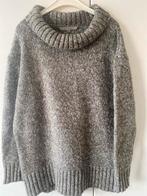 Sylver Trui Maat 34, Kleding | Dames, Ophalen of Verzenden, Zo goed als nieuw, Maat 34 (XS) of kleiner, Grijs