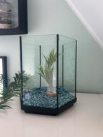 Aquarium/Vissenkom zeshoekig, Dieren en Toebehoren, Ophalen, Leeg aquarium