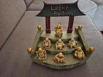 Lucky Buddha, Ophalen, Zo goed als nieuw, Dier