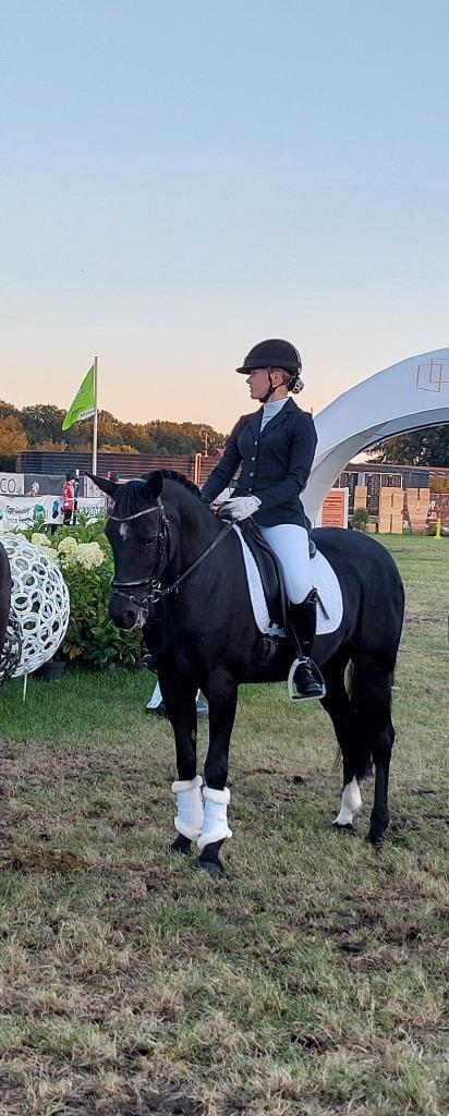 Super brave D-pony te koop, Dieren en Toebehoren, Pony's, Merrie, L, D pony (1.37m tot 1.48m), Dressuurpony, 11 jaar of ouder