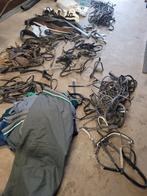 Voor de liefhebber, Dieren en Toebehoren, Ophalen of Verzenden, Gebruikt, Overige soorten