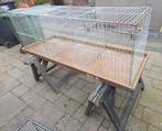 Te koop tentoonstellings kooien, Ophalen, 110 cm of meer, Kooi, Minder dan 60 cm
