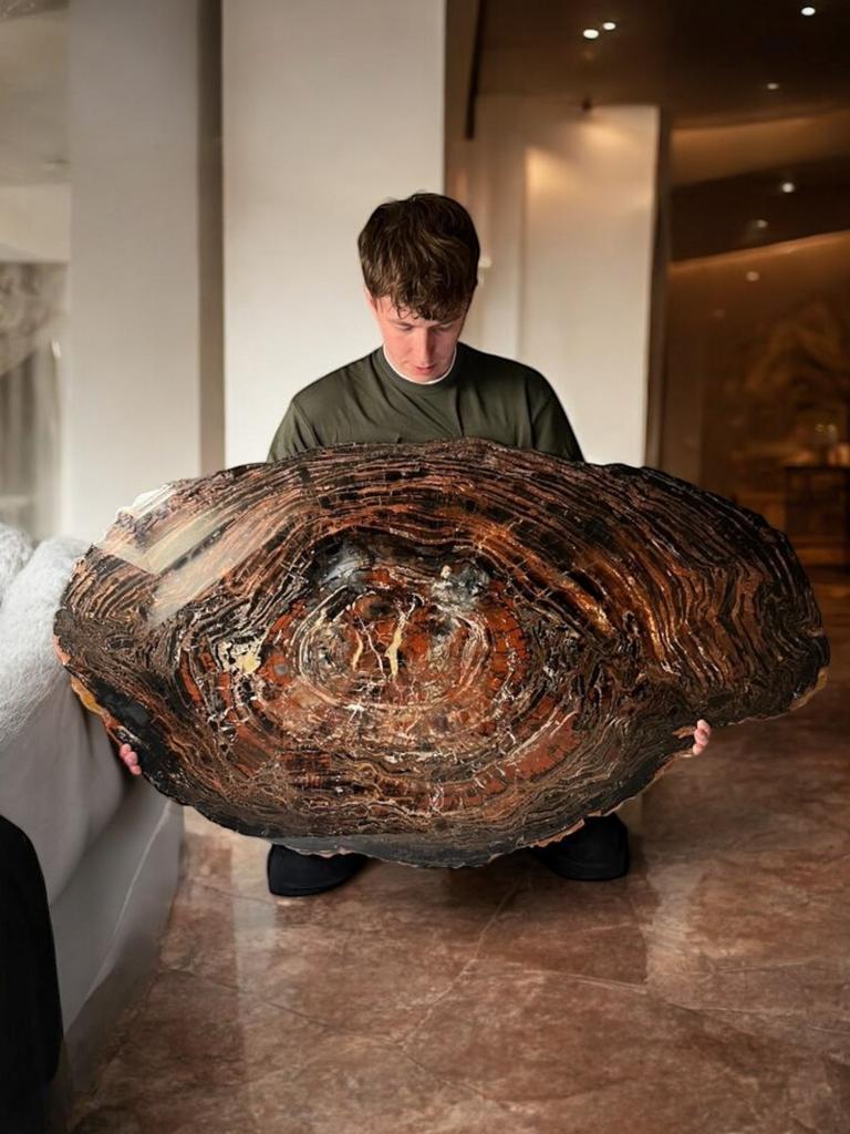 petrified wood USA Arizona Zeer zeldzaam extreem mooie plak!, Ophalen of Verzenden
