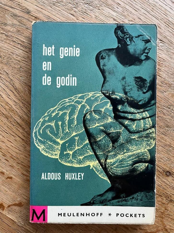 Aldous Huxley - Het genie en de godin, Boeken, Romans, Gelezen, Europa overig, Ophalen of Verzenden