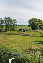 Grasveld te huur, Dieren en Toebehoren
