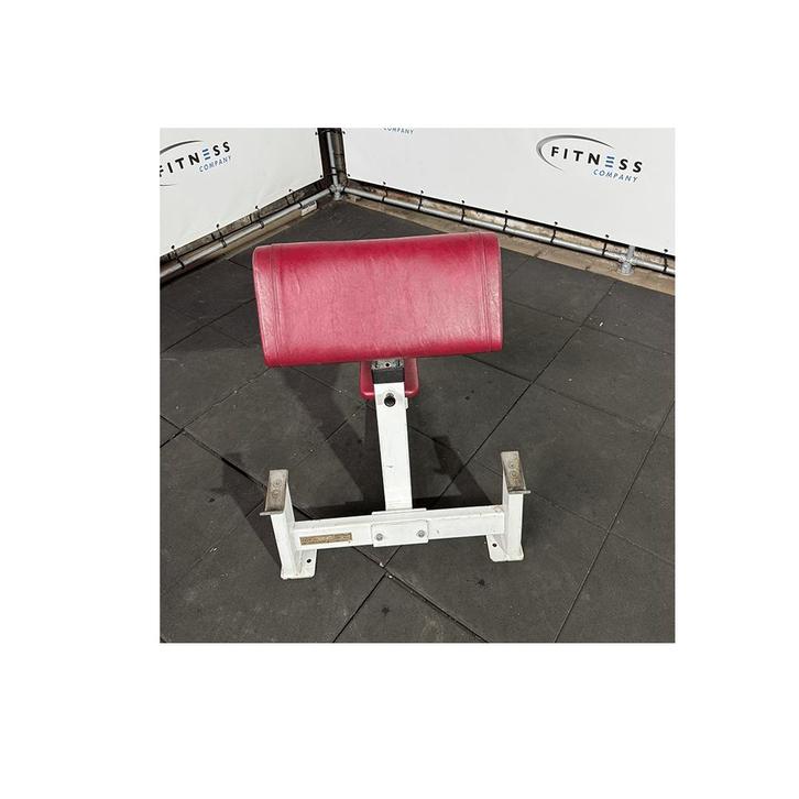 David 70 – Bicep Curl, Sport en Fitness, Fitnessmaterialen, Gebruikt, Overige typen, Armen, Benen, Borst, Buik, Rug, Ophalen of Verzenden