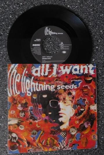 The Lightning Seeds - all I want (BE 1990) (vanaf € 2,00) beschikbaar voor biedingen