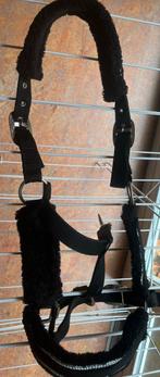 Halster maat cob, Dieren en Toebehoren, Ophalen of Verzenden, Zo goed als nieuw, Overige soorten