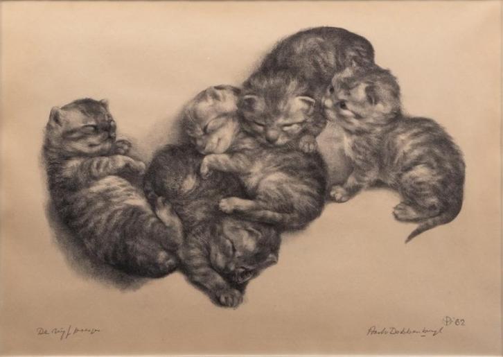 'De vijf poesjes', litho van Aart van Dobbenburgh 1899-1988, Antiek en Kunst, Kunst | Litho's en Zeefdrukken, Ophalen of Verzenden