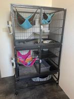 Grote Fretten / Rattenkooi, Dieren en Toebehoren, Kooi, Ophalen of Verzenden, 90 cm of meer, Rat