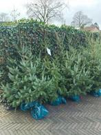 kerstbomen te koop vanaf €12,50, Tuin en Terras, Ophalen, Volle zon, Overige soorten