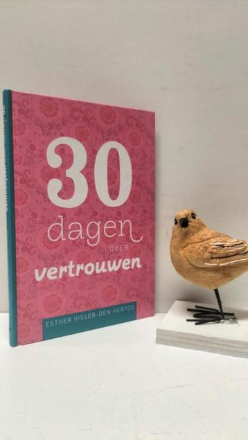 Visser-Den Hertog, Esther; 30 dagen over vertrouwen  beschikbaar voor biedingen