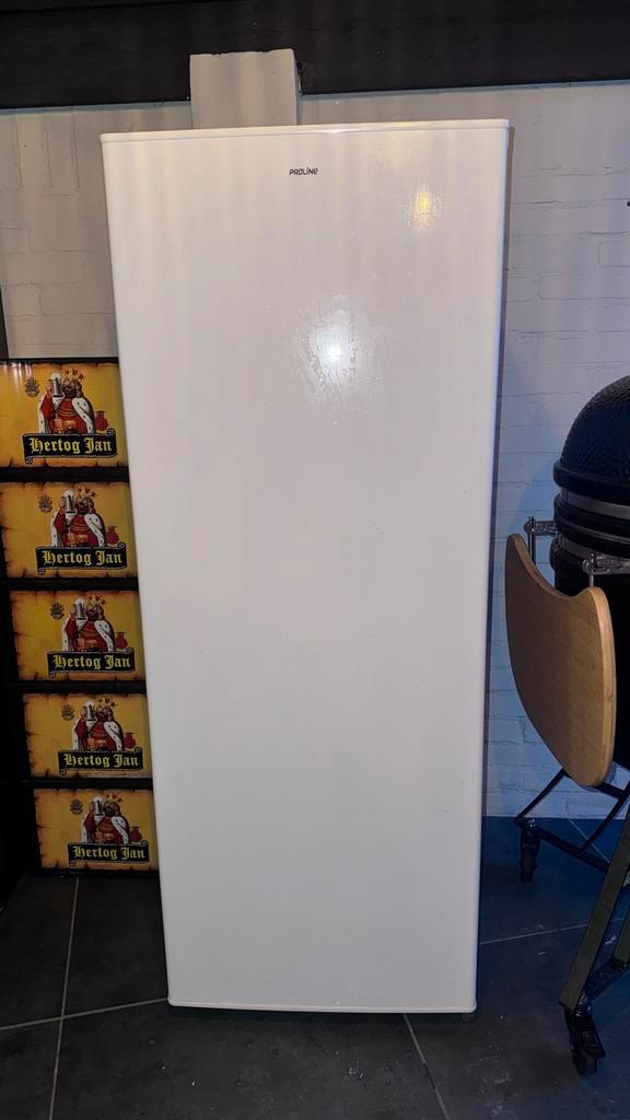 Proline Koelkast, Witgoed en Apparatuur, Koelkasten en IJskasten, Gebruikt, Zonder vriesvak, 100 tot 150 liter, 120 tot 140 cm