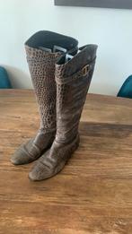 Tommy Hilfiger  dames  laarzen maat 39, Ophalen, Gedragen, Groen, Hoge laarzen