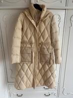 Nieuw creme jas merk Guess maat XS, Guess, Beige, Nieuw, Ophalen of Verzenden