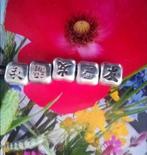 Pandora chinese tekens voor liefde, geluk en vriendschap, Pandora, Ophalen of Verzenden, Zo goed als nieuw, 4 bedels of meer