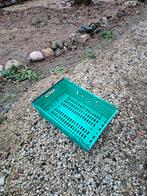 Groene Krat, Gebruikt, 40 tot 60 cm, 50 tot 75 cm, Minder dan 35 cm