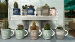 Mini cactus in kopje met tekst  6 cm, Huis en Inrichting, Kamerplanten, Ophalen of Verzenden, Cactus, Minder dan 100 cm