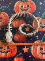 Halloween skelet slang, Ophalen of Verzenden, Nieuw, Feestartikel, Halloween of Griezel