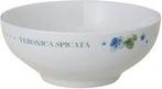 Bowls Veronica Marjolein Bastin Wild Flowers servies, Overige materialen, Patoriestraat 45, 7551DJ Hengelo, Overige typen, Nieuw