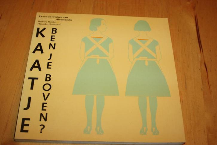Kaatje ben je boven? Barbara Henkes (leven van dienstbodes), Boeken, Geschiedenis | Vaderland, Gelezen, 20e eeuw of later, Ophalen of Verzenden