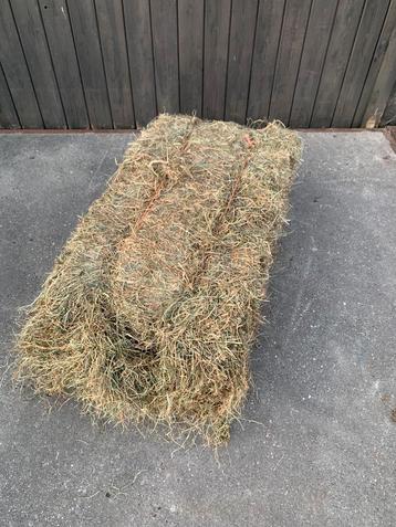 Te koop goede kwaliteit hooi laag in suiker. met analyse. beschikbaar voor biedingen