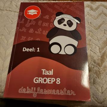 Groep 8 Taal de bijlesmeester met antwoorden  beschikbaar voor biedingen