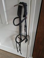 Hoofdstel Kieffer zwart full Schockemöhle sport teugel zwart, Dieren en Toebehoren, Paarden en Pony's | Hoofdstellen en Tuigage