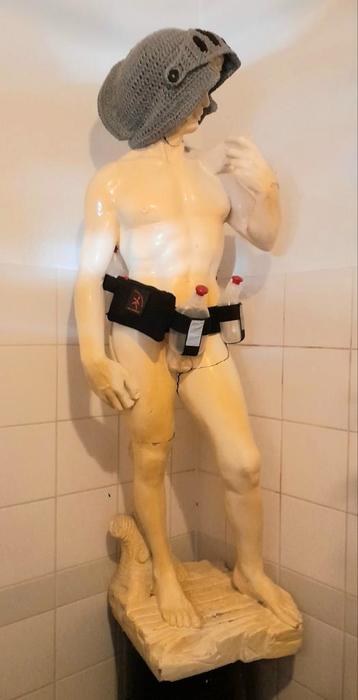 DAVID met GEHAAKTE HELM by S*IRENE beschikbaar voor biedingen