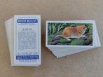British Wild Life complete set 50 tea cards dieren 1958, Ophalen