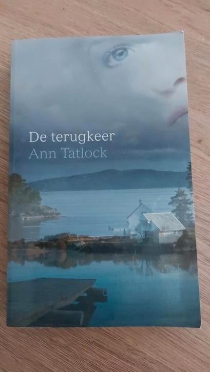 Ann Tatlock - De terugkeer, Boeken, Romans, Gelezen, Nederland, Ophalen of Verzenden