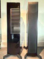 Piega masterline source 2, Piega, Zo goed als nieuw, 120 watt of meer, Front, Rear of Stereo speakers