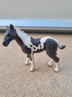 Schleich, 13803 Pinto veulen, Ophalen of Verzenden, Gebruikt