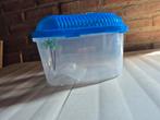 Vervoersbox aquarium/ terrarium 20 breed 13 hoog, Dieren en Toebehoren, Reptielen en Amfibieën | Toebehoren, Ophalen of Verzenden