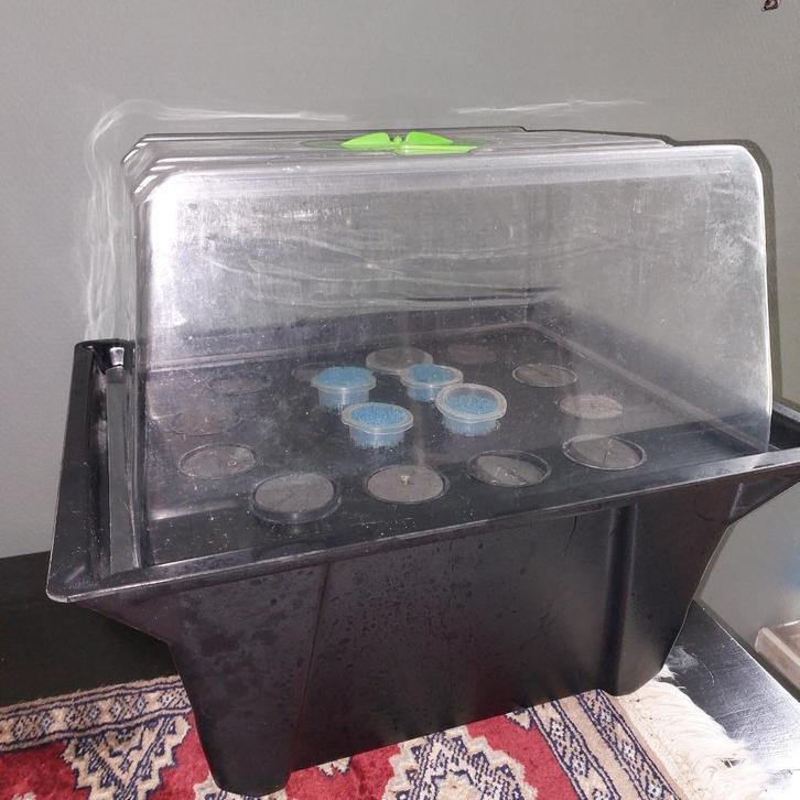 x-stream aero kweeksysteem, Tuin en Terras, Kweekspullen, Zo goed als nieuw, Overige typen, Ophalen