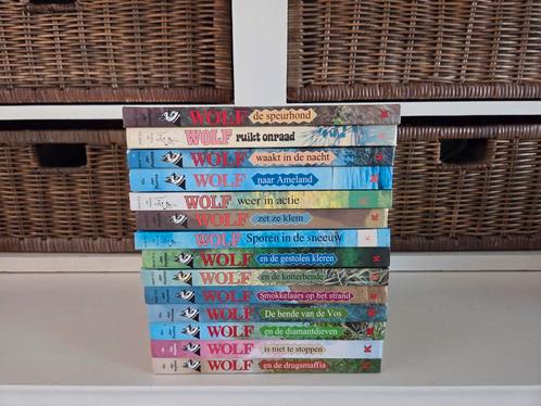 Jan Postma -Wolf (zie beschrijving) 12 stuks, Boeken, Kinderboeken | Jeugd | 10 tot 12 jaar, Gelezen, Ophalen of Verzenden