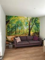 Prachtig foto behang zon in bos 300 cm bij 400 cm, Huis en Inrichting, Stoffering | Behang, Ophalen, 10 tot 25 m², Bruin, Prachtig bos in zonnige herfstkleur