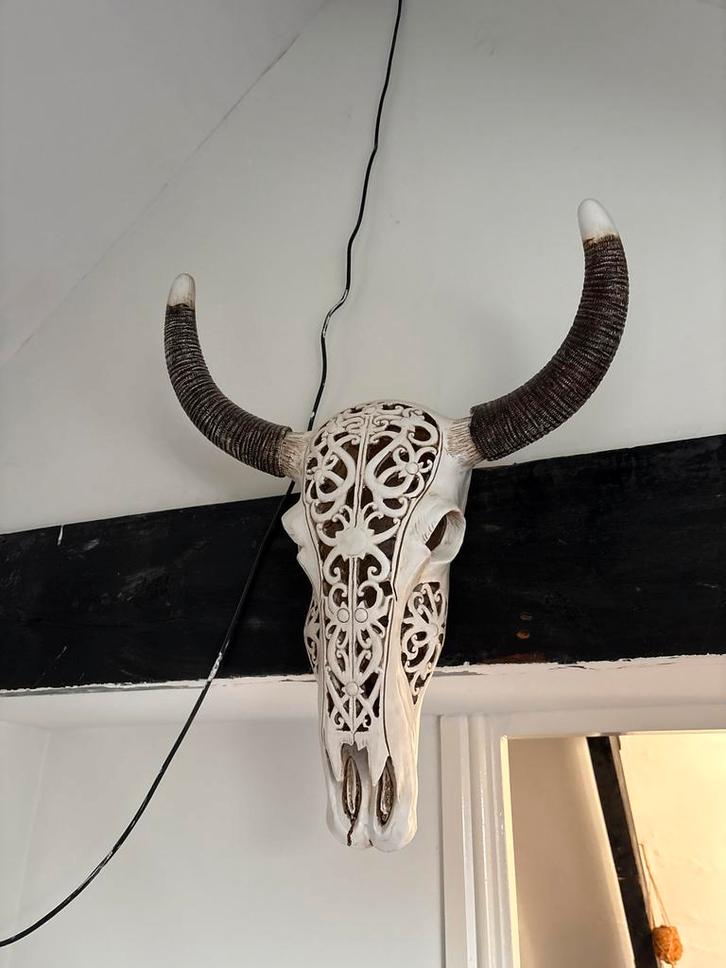 Gewei Schedel Ibiza Stijl, Huis en Inrichting, Woonaccessoires | Wanddecoraties, Gebruikt, Ophalen of Verzenden