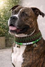 Hondenhalsband met namen ketting, Ophalen of Verzenden, Handgemaakt, Nieuw