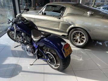 Harley-Davidson Softail Eigenbouw Een schitterend mooie harl beschikbaar voor biedingen
