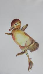 schilderijen verzameld vogels, Minder dan 50 cm, Ophalen of Verzenden, Zo goed als nieuw, Schilderij