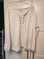 Truien, Kleding | Dames, Grote Maten, Ophalen of Verzenden, Zo goed als nieuw, Trui of Vest