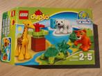 Duplo 10801 araubd de world, Kinderen en Baby's, Speelgoed | Duplo en Lego, Ophalen of Verzenden, Zo goed als nieuw, Duplo