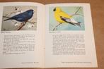 Tropische Zaadetende Vogels — Sluis [Vintage Boekje 1955], Ophalen of Verzenden, Gelezen, Vogels