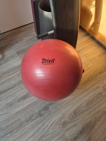 Fitnessbal - Crivit Sports beschikbaar voor biedingen